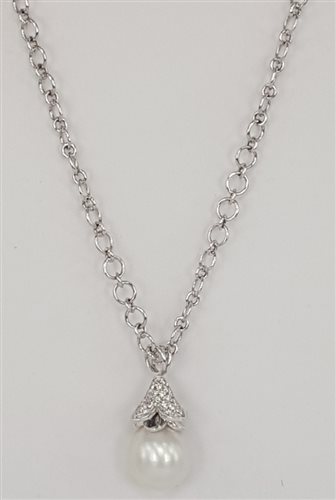 Collar Recarlo Mujer in Oro blanco ZT453/B - ZT453/B